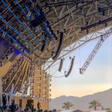 Amidst the Palm Trees: A Concert Crowd
