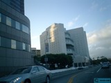 Driving Through the City