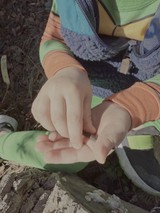 Child's Hands Holding Small Natural Treasures Outdoors