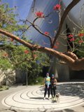 Two People and a Pup Pose by a Towering Tree