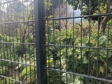 Nature's Barrier