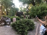 Capturing Art in Nature