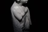 Sculpted Beauty