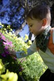 The Little Botanist