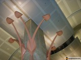 Blooming Beauty in the Lobby