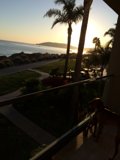 A Canine's View of the Summer Sunset