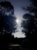 A Radiant Dawn in Presidio