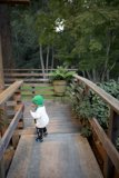 The Bridge Crossing