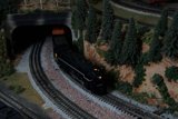 Train through the Trees