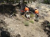 Working on the Hillside