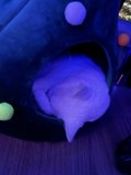 Cat Nap in a Green Sphere