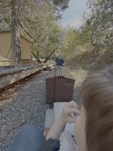 Narrow Gauge Railway Journey Through Trees