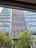 Towering View