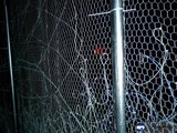 Barbed Wire Fence