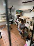 Furry Friend in the Cat Room