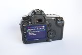 Capturing Memories with the Canon EOS 5D Mark II