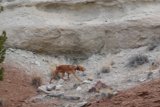 Rocky Adventure