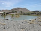 Tranquil Pond in a Desert Oasis