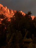 Desert Night Life