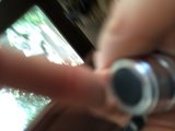 Capturing Memories