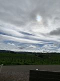 Clouds Roll Over Serene Vineyard