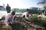 Guerilla Gardening with Tyree Guyton