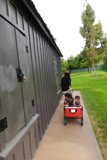 City Stroll: A Man, His Dogs, and their Cart