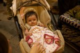 Baby in a Stroller