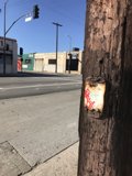 Urban Communication