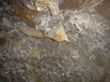 Natural Cave Bounty