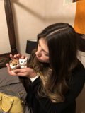The Toy Cat Companion