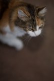 Curiosity Strikes