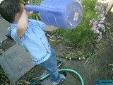 Garden Helper