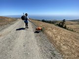Hiking with Man's Best Friend