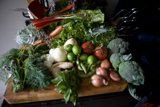 Fresh Produce for a Healthy Meal