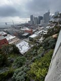 San Francisco's Urban Jungle