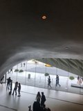 Walking through a Glass Ceiling