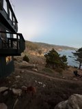 Canine Companion on a Breezy Hillside