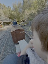Garden Railway Adventure from Child's Perspective