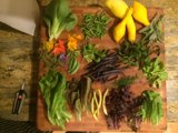 Freshly Chopped Vegetables and Herbs