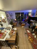 Pooch in a Chic Living Room