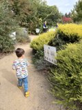 Strolling Through Nature's Classroom