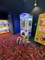 Two Children Playing at Arcade Claw Machine