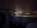 Child Sleeping Peacefully on Living Room Couch