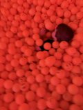 Orange Sphere Wonderland