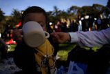 Young Explorer Enjoys SF Zoo Sunset Friday