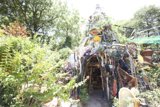 The Rustic Junk House