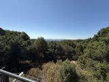 Verdant Vista at the Oakland Zoo