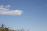 Flying High in Temescal Canyon