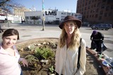 Guerrilla Gardeners Transform Urban Street Corner